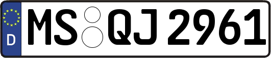 MS-QJ2961