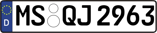 MS-QJ2963