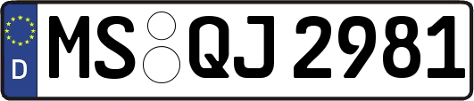 MS-QJ2981