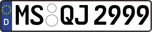 MS-QJ2999