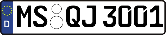 MS-QJ3001