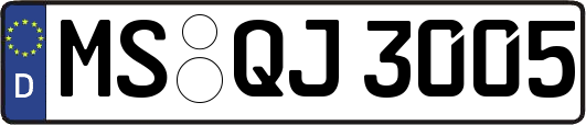 MS-QJ3005