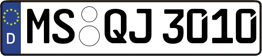 MS-QJ3010