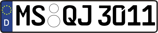 MS-QJ3011