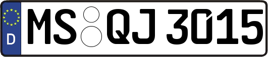 MS-QJ3015