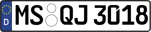 MS-QJ3018