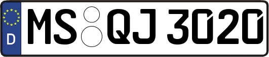 MS-QJ3020