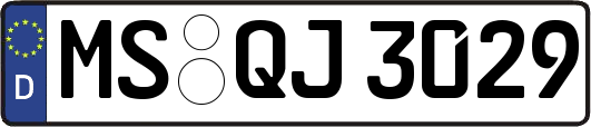 MS-QJ3029