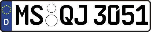 MS-QJ3051