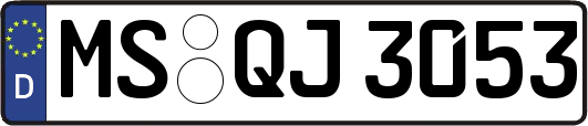MS-QJ3053