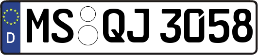 MS-QJ3058