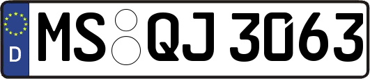 MS-QJ3063
