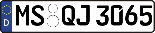 MS-QJ3065
