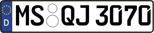 MS-QJ3070