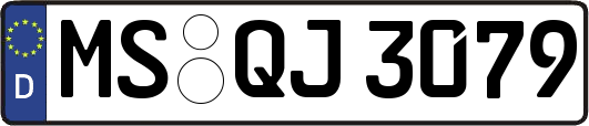 MS-QJ3079