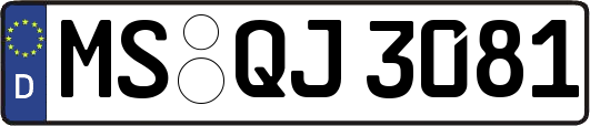MS-QJ3081