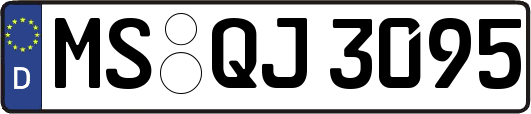 MS-QJ3095