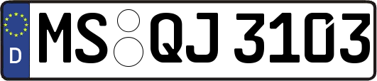 MS-QJ3103