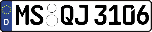 MS-QJ3106