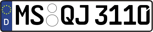 MS-QJ3110