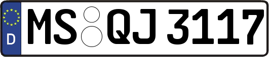 MS-QJ3117