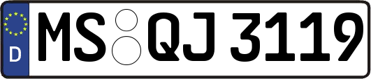 MS-QJ3119