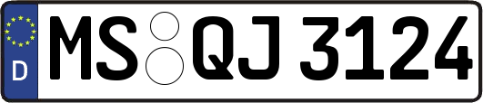 MS-QJ3124