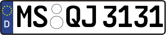 MS-QJ3131