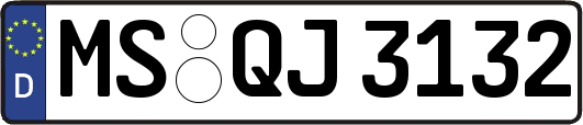 MS-QJ3132