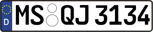 MS-QJ3134