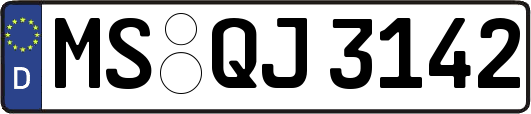 MS-QJ3142