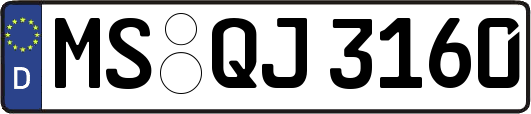 MS-QJ3160