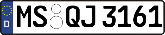 MS-QJ3161