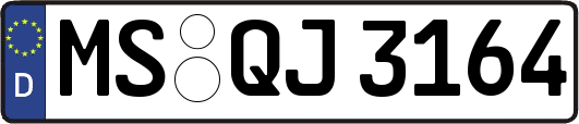 MS-QJ3164
