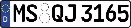 MS-QJ3165