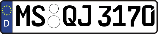 MS-QJ3170