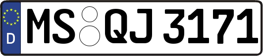 MS-QJ3171