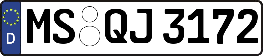 MS-QJ3172
