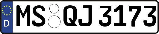 MS-QJ3173