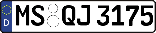 MS-QJ3175