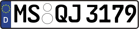 MS-QJ3179