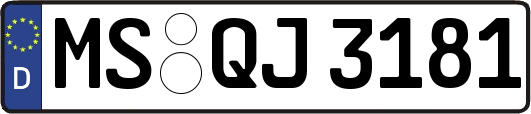 MS-QJ3181