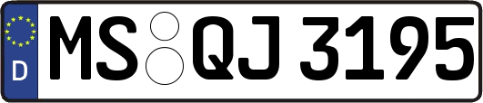 MS-QJ3195