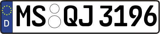 MS-QJ3196
