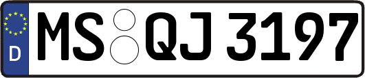 MS-QJ3197