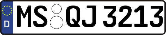 MS-QJ3213