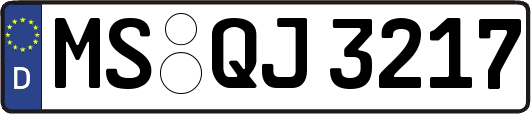 MS-QJ3217