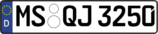 MS-QJ3250