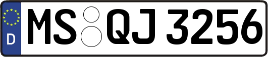 MS-QJ3256