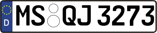 MS-QJ3273